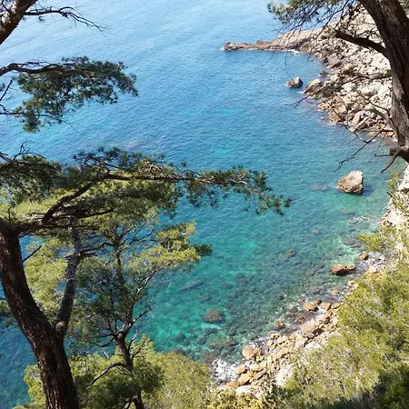 Agachoun Aubagne